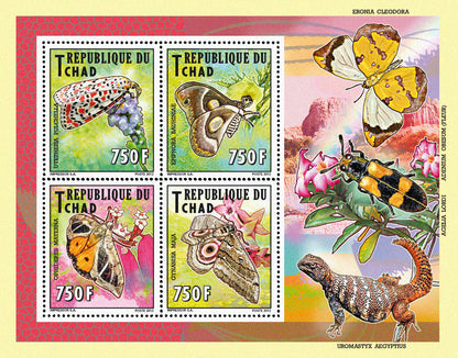 Native Mammals 2012 / Butterflies (2)