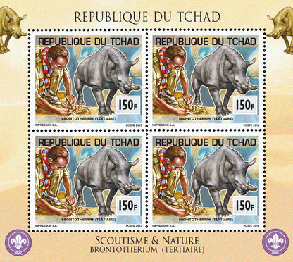 Scouting & Prehistory