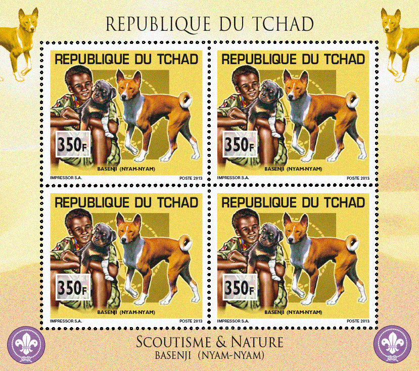 Scouting & Dogs-Cats