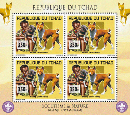 Scouting & Dogs-Cats