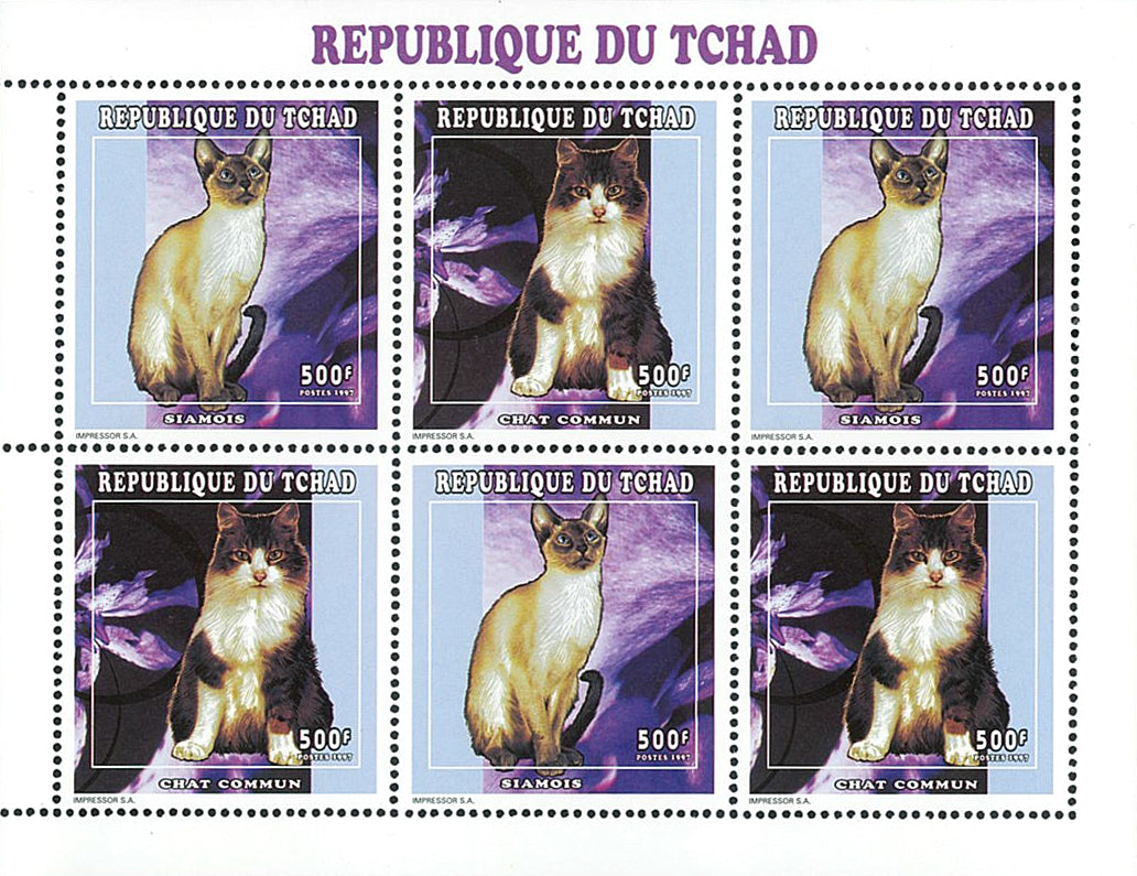 Purebred cats of the world
