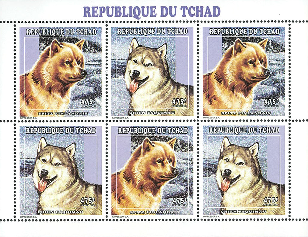 Polar Dogs