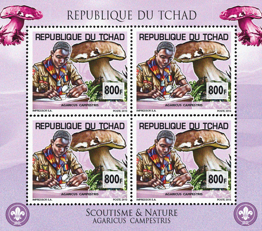 Scouting & Birds-Mushrooms