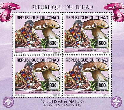 Scouting & Birds-Mushrooms