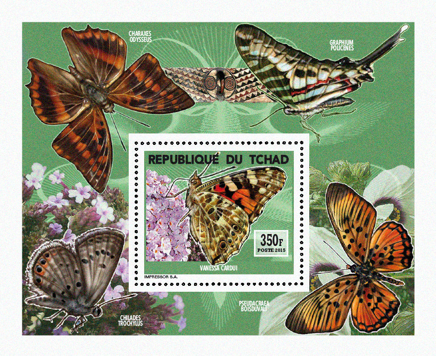 Insects and Birds  / Butterflies