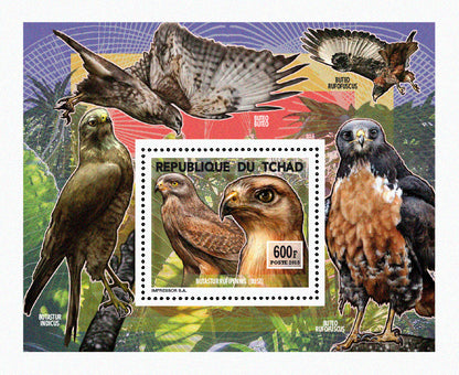Insects and Birds  / Raptors 600f