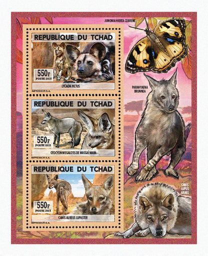 Natural History / Wild Dogs