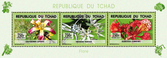 Natural History / Wild Flowers