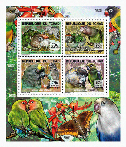 Insects and Birds / Parrots and Parakeets