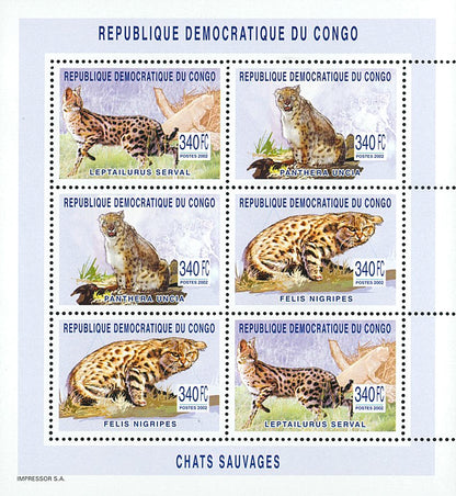 Wild Cats Fauna