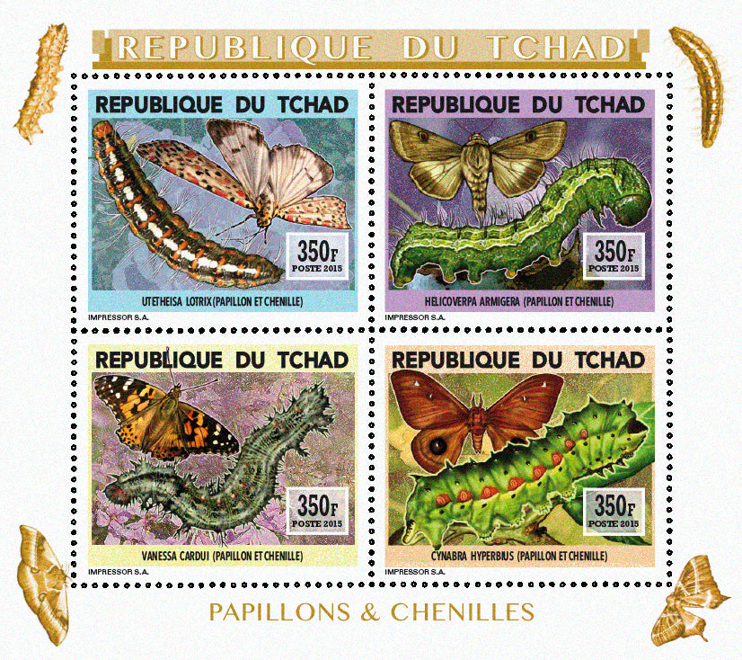 Insects and Birds / Butterflies and Caterpillars