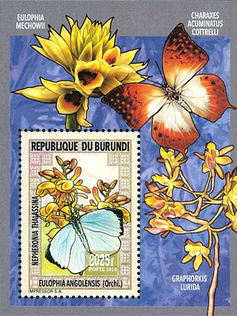 Fauna & Flora : Orchids and Butterflies