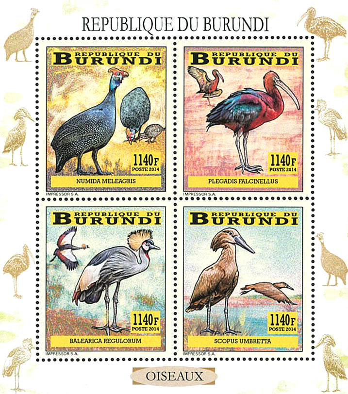 Fauna & Flora : Birds