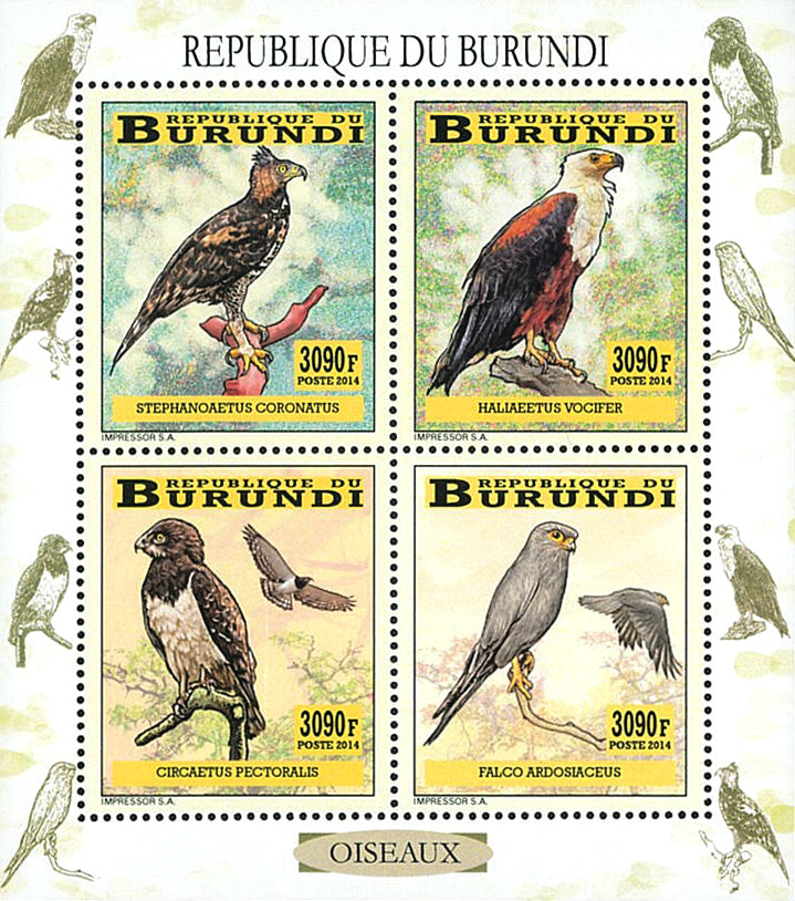 Fauna & Flora : Birds of prey