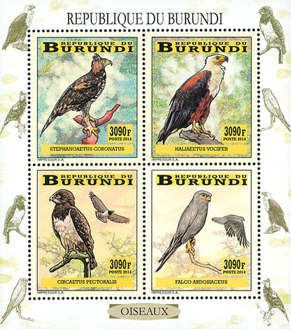Fauna & Flora : Birds of prey