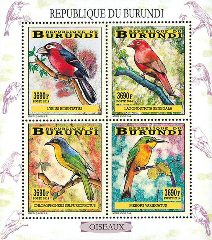 Fauna & Flora : Birds (II)