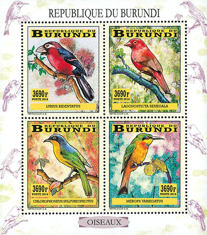 Fauna & Flora : Birds (II)