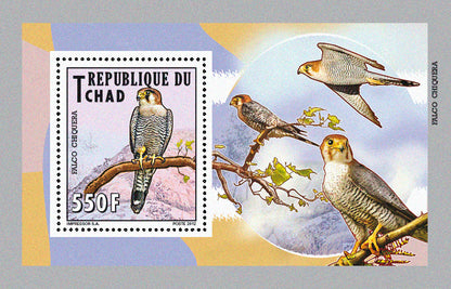 Native Mammals 2012 / Falcons & Eagles