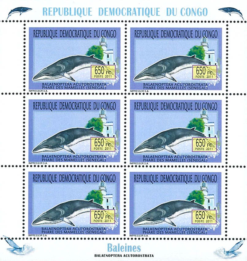 Whales & Lighthouses - Animals (2011)