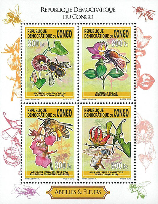 Bees & Orchids (2013)