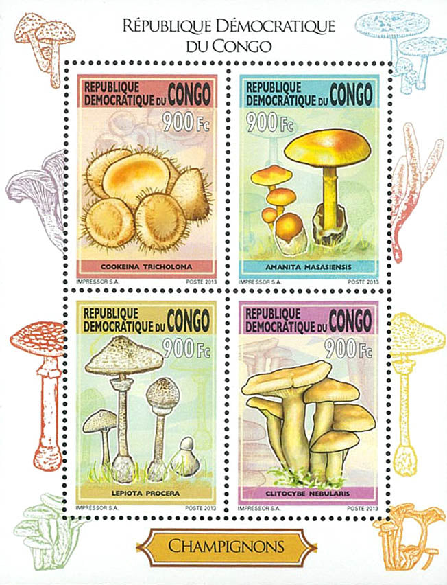 Mushrooms (2013)