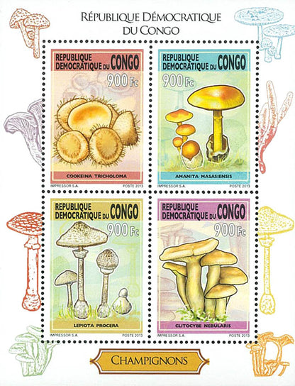 Mushrooms (2013)