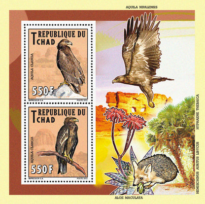 Native Mammals 2012 / Falcons & Eagles