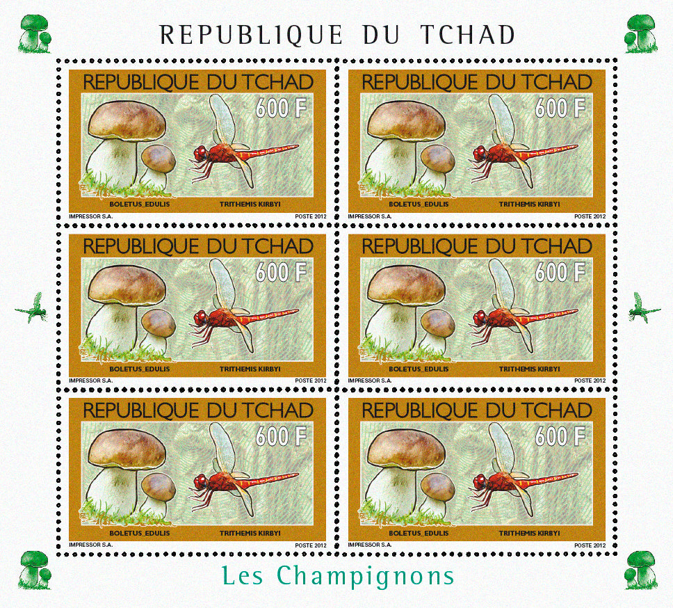 Mushrooms & Insects (2)