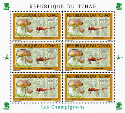 Mushrooms & Insects (2)