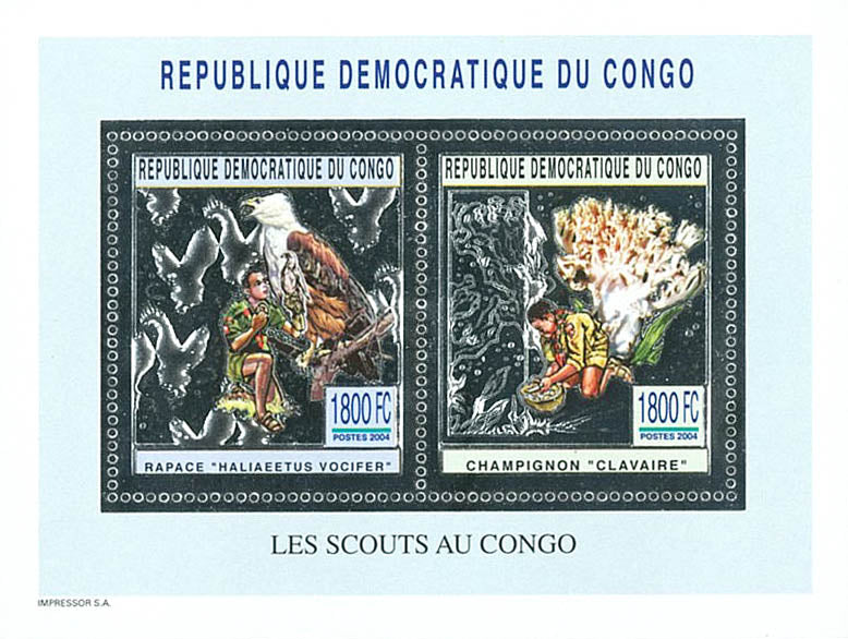 Scouting and Nature (Silver Issue)