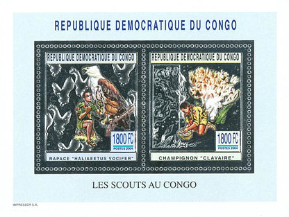 Scouting and Nature (Silver Issue)