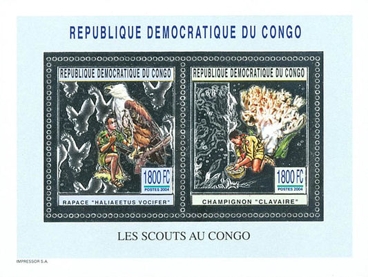 Scouting and Nature (Silver Issue)