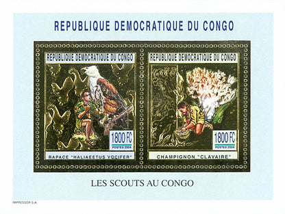 Scouting and Nature (Gold Issue)