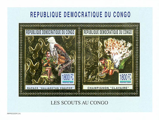 Scouting and Nature (Gold Issue)