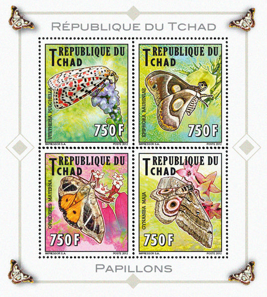 Native Mammals 2012 / Butterflies (2)