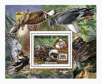 Insects and Birds  / Raptors 600f