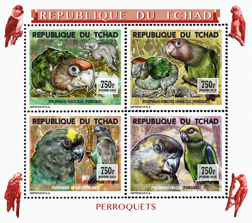 Insects and Birds / Parrots and Parakeets