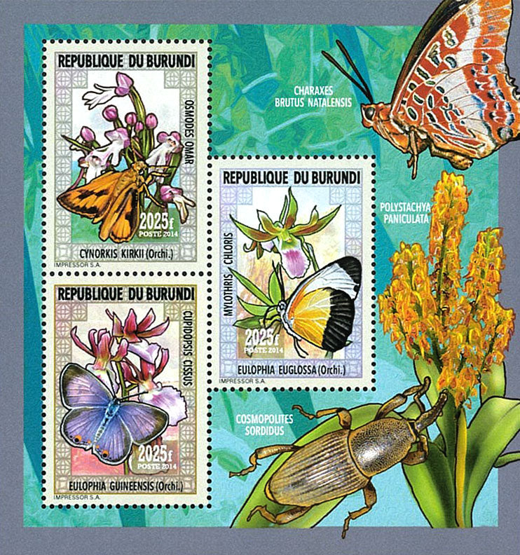 Fauna & Flora : Orchids and Butterflies