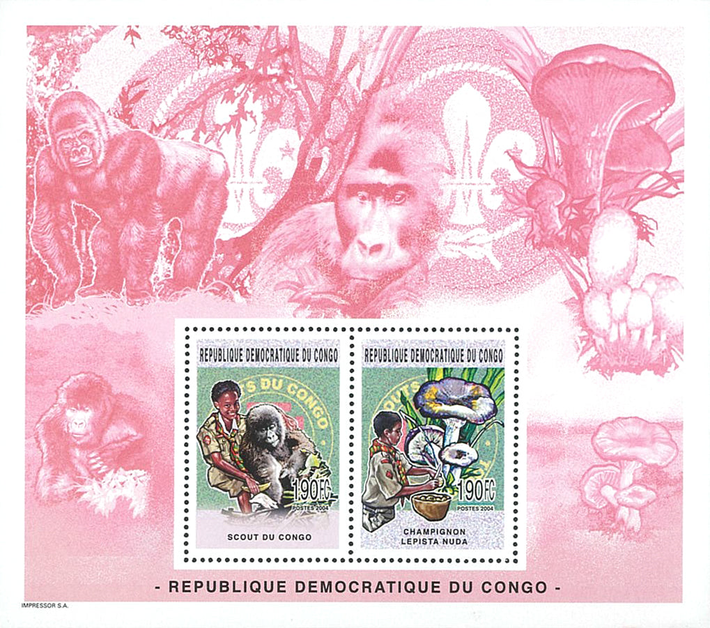 Scouting and Nature (2005)