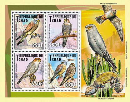 Native Mammals 2012 / Falcons & Eagles