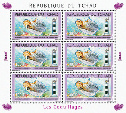 Shells & Lighthouses 2012