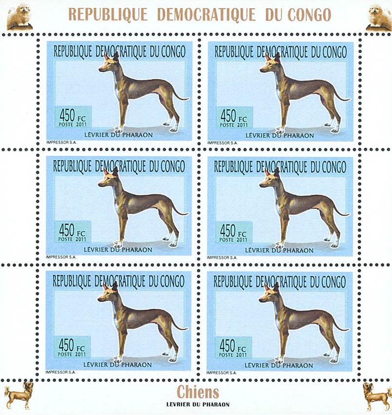 Dogs - Animals (2011)