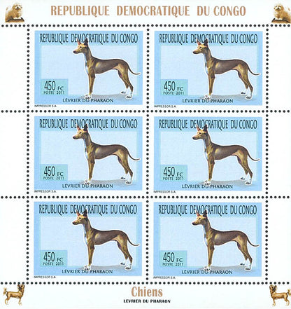 Dogs - Animals (2011)