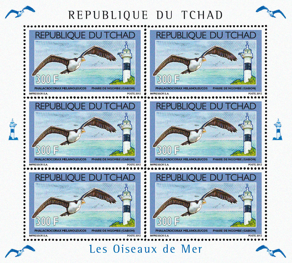 Seabirds & Lighthouses 2012