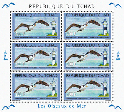 Seabirds & Lighthouses 2012