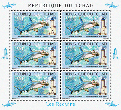 Sharks & Lighthouses