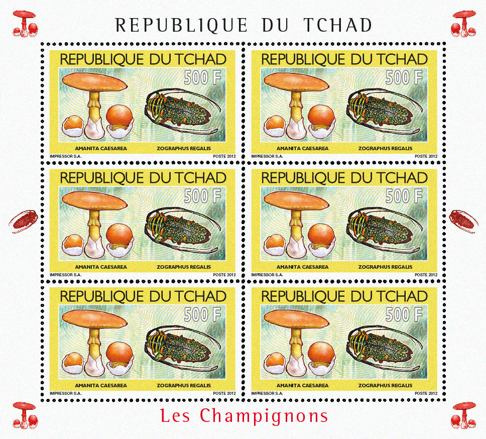 Mushrooms & Beetles (1)