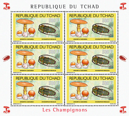 Mushrooms & Beetles (1)