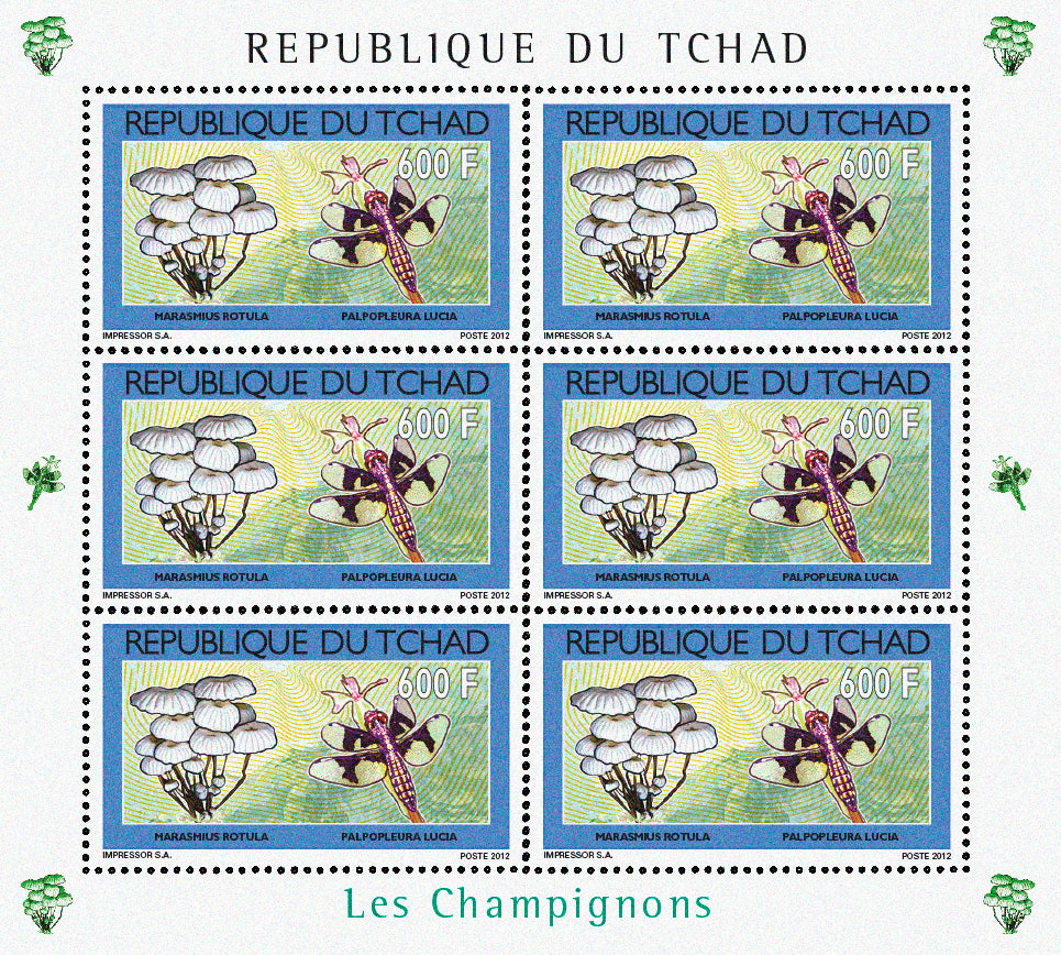 Mushrooms & Insects (2)