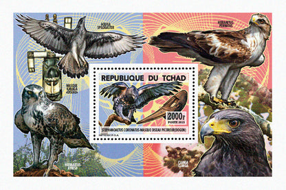 Insects and Birds  / Raptors 600f
